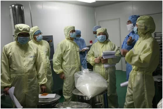 球速体育股份全面进行新版GMP认证自检