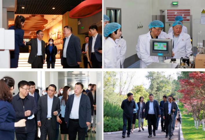 球速体育股份董事长邢雅江到访云南白药 球速体育股份董事长邢雅江到访云南白药