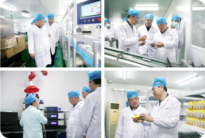 榆林市榆阳区政府领导莅临球速体育股份考察调研