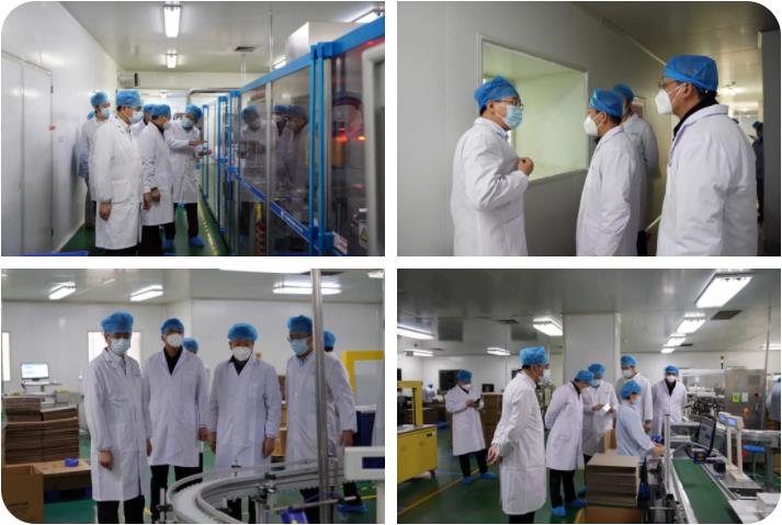 榆林市榆阳区政府领导莅临球速体育股份考察调研