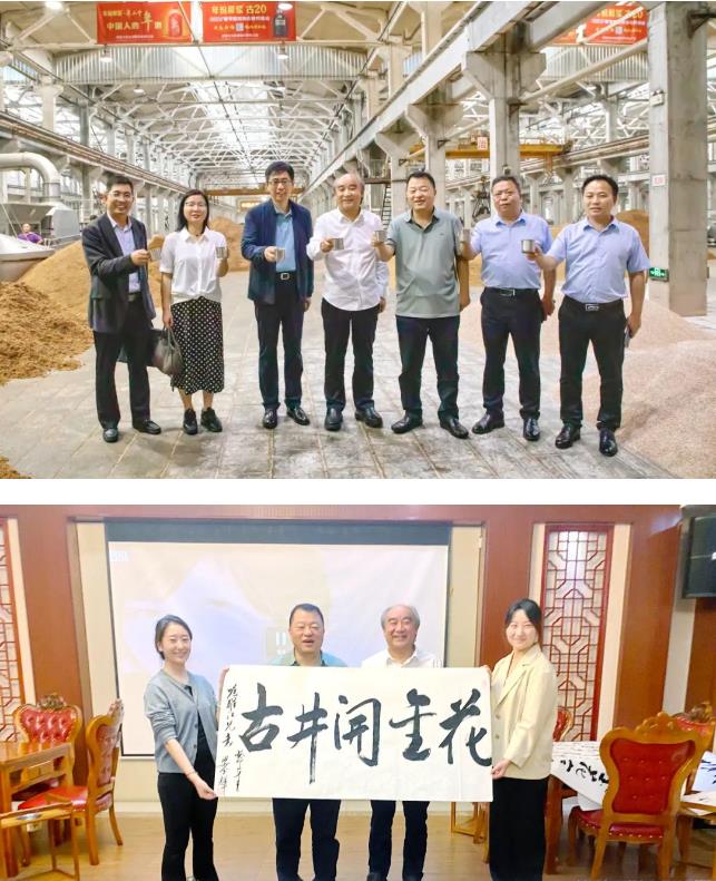 球速体育股份董事长邢雅江一行赴古井贡酒集团考察交流、洽谈合作