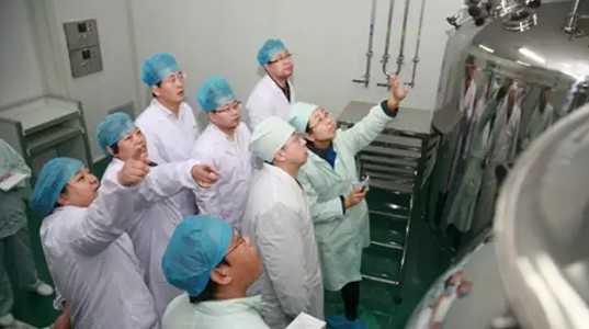 球速体育股份全面进行新版GMP认证自检