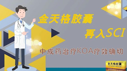 金天格胶囊再入SCI 中成药治疗KOA疗效确切