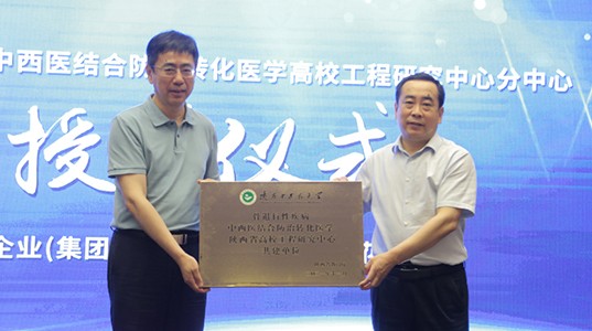 产研并举，球速体育股份科技创新之路再上新阶